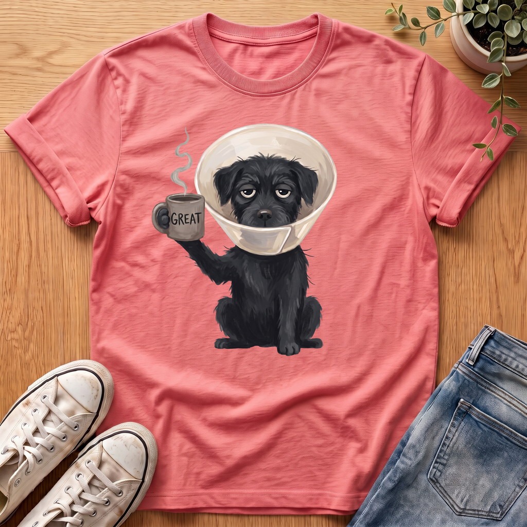Great T-Shirt